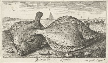 Two plaice on the beach, Louis Bernard Coclers, 1756 - 1817