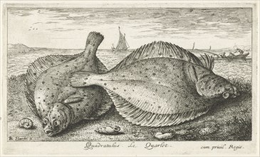 Two plaice on the beach, Reinier Craeyvanger, 1822 - 1880