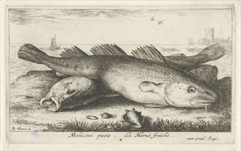 Two codfish at the beach, Albert Flamen, 1664