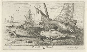 Fish on the beach, Albert Flamen, 1664