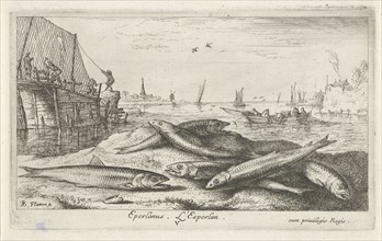 European smelt Osmerus eperlanus on the beach, print maker: Albert Flamen, Albert Flamen, Jacques