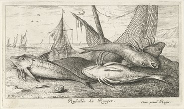 Four fish on the beach, Albert Flamen, 1664
