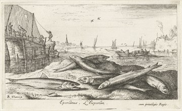 Six smelts on the beach, Albert Flamen, 1664