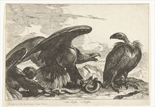 Vulture and an eagle with snake, print maker: Peeter Boel attributed to, Peeter Boel, De Poilly,