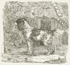 A dog, Jan Dasveldt, 1780 - 1855