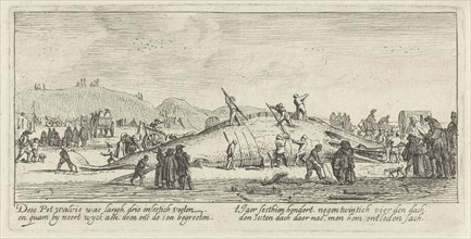 Whale stranded in Noordwijk, The Netherlands 1629, Anonymous, 1629