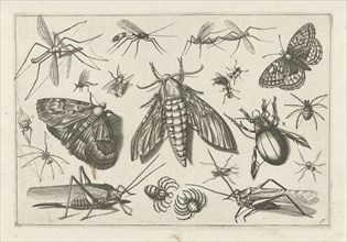 Insects, Jacob Hoefnagel, Joris Hoefnagel, Claes Jansz. Visscher (II), 1630