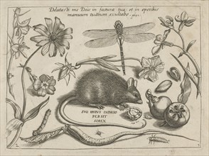 insects, plants and fruits around a rat, print maker: Jacob Hoefnagel, Joris Hoefnagel, Christoph