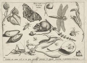 Animals, plants and fruits around a mouse, Jacob Hoefnagel, Joris Hoefnagel, 1592