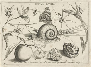 Animals, plants and fruits around a snail, print maker: Jacob Hoefnagel, Joris Hoefnagel, Christoph