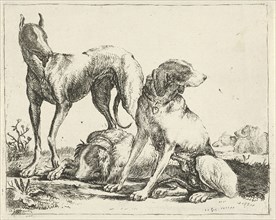 Three dogs, Pauwels van Hillegaert, 1606 - 1658