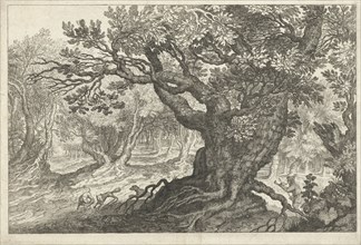 Fox Hunt in a forest, Roelant Savery, Anonymous, 1587 - 1639