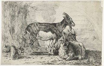 Goats, Jan van den Hecke (I), 1656