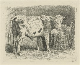 Young bull, Dirk van Lokhorst, 1828-1893