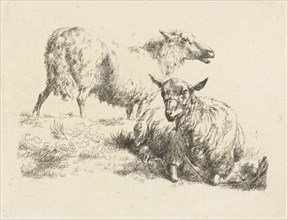 Lying sheep with halter and a standing sheep, Nicolaes Pietersz. Berchem, Anonymous, 1666 - 1726