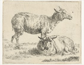 Standing and lying sheep, Nicolaes Pietersz. Berchem, 1648 - 1652