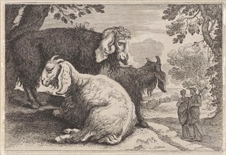 Angora sheep, Anonymous, Herman van Swanevelt, 1636-1705