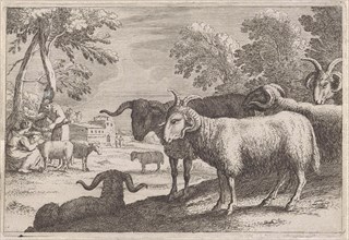 Rams, Anonymous, Herman van Swanevelt, 1636 - 1705