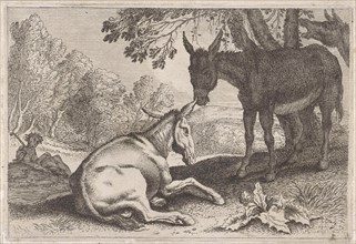 Donkeys, Anonymous, Herman van Swanevelt, 1636 - 1705