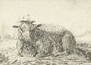 Sheep flying, Jacob van der Does (I), Karel Dujardin, 1633 - 1673