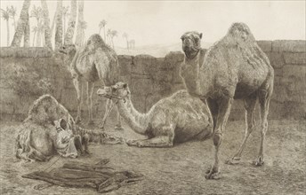 Camels, August Le Gras, 1886