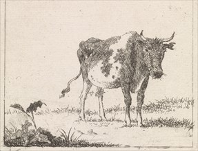 Cow standing in pasture, Johannes Christiaan Janson, 1778 - 1823