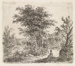 Wooded Landscape with seated figure, Johannes Christiaan Janson, 1778 - 1823
