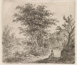 Wooded Landscape with seated figure, Johannes Christiaan Janson, 1778 - 1823