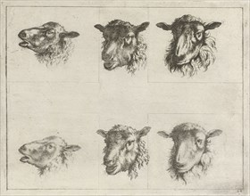 Study Sheet with six sheep ', Johannes Janson, 1761 - 1784