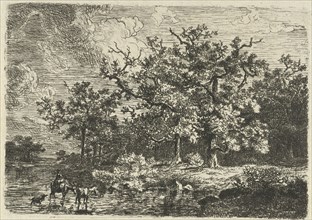 Landscape with trees and woman on a a donkey in shallow water, Willem Jan van den Berghe, 1848
