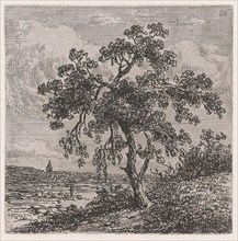 Landscape with a big tree, Johannes Pieter van Wisselingh, 1830-1878