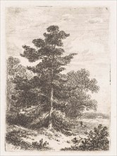 Landscape with a fir, print maker: Johannes Pieter van Wisselingh, 1830 - 1878