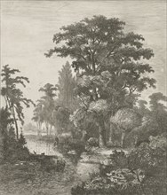 forest scene with two ducks nesting in a river, Hermanus Jan Hendrik van Rijkelijkhuysen, 1861