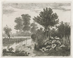 Ducks in a ditch, Hermanus Jan Hendrik van Rijkelijkhuysen, 1823 - 1883