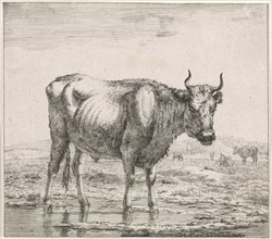 ox standing in the water, Adriaen van de Velde, Anonymous, 1659 - 1709