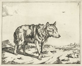 Standing wolf, and profil, Marcus de Bye, Paulus Potter, 1657 - c. 1677