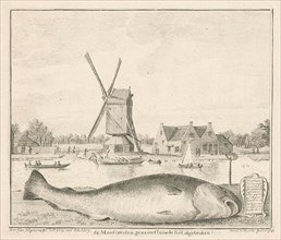 Cod caught in 't Spaarne, Cornelis van Noorde, 1760