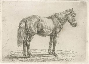 Single horse right, Johannes Mock, 1828