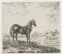 Landscape with three horses, Christiaan Wilhelmus Moorrees, 1811 - 1867