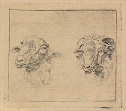 Head of a ram and head of a sheep, Carel Webbers, 1786