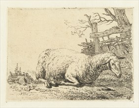 Sheep near a braided fence, print maker: Karel Dujardin, 1652 - 1659