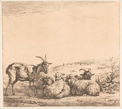 Two goats and three sheep, Karel Dujardin, 1655