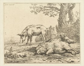Three pigs in a hedge, Karel Dujardin, 1656 - 1658