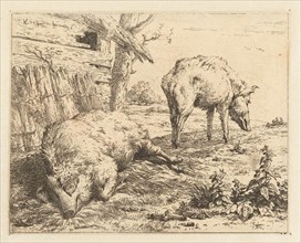Two boars, Karel Dujardin, 1656