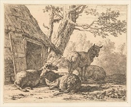 Four sheep, Karel Dujardin, 1658