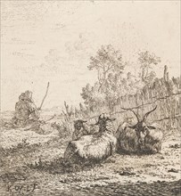 Goat and two sheep, Karel Dujardin, Dujardin, 1652