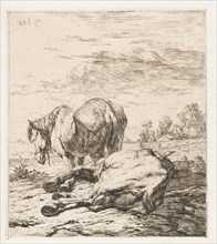 Two horses, Karel Dujardin, 1652