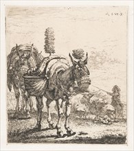 Two mules, Karel Dujardin, 1652