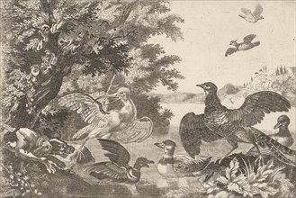 Waterfowl and a dog, Melchior d' Hondecoeter, Monogrammist RP, 1646 - 1695