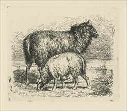 Black Sheep with lamb, Dirk van Lokhorst, 1828 - 1893